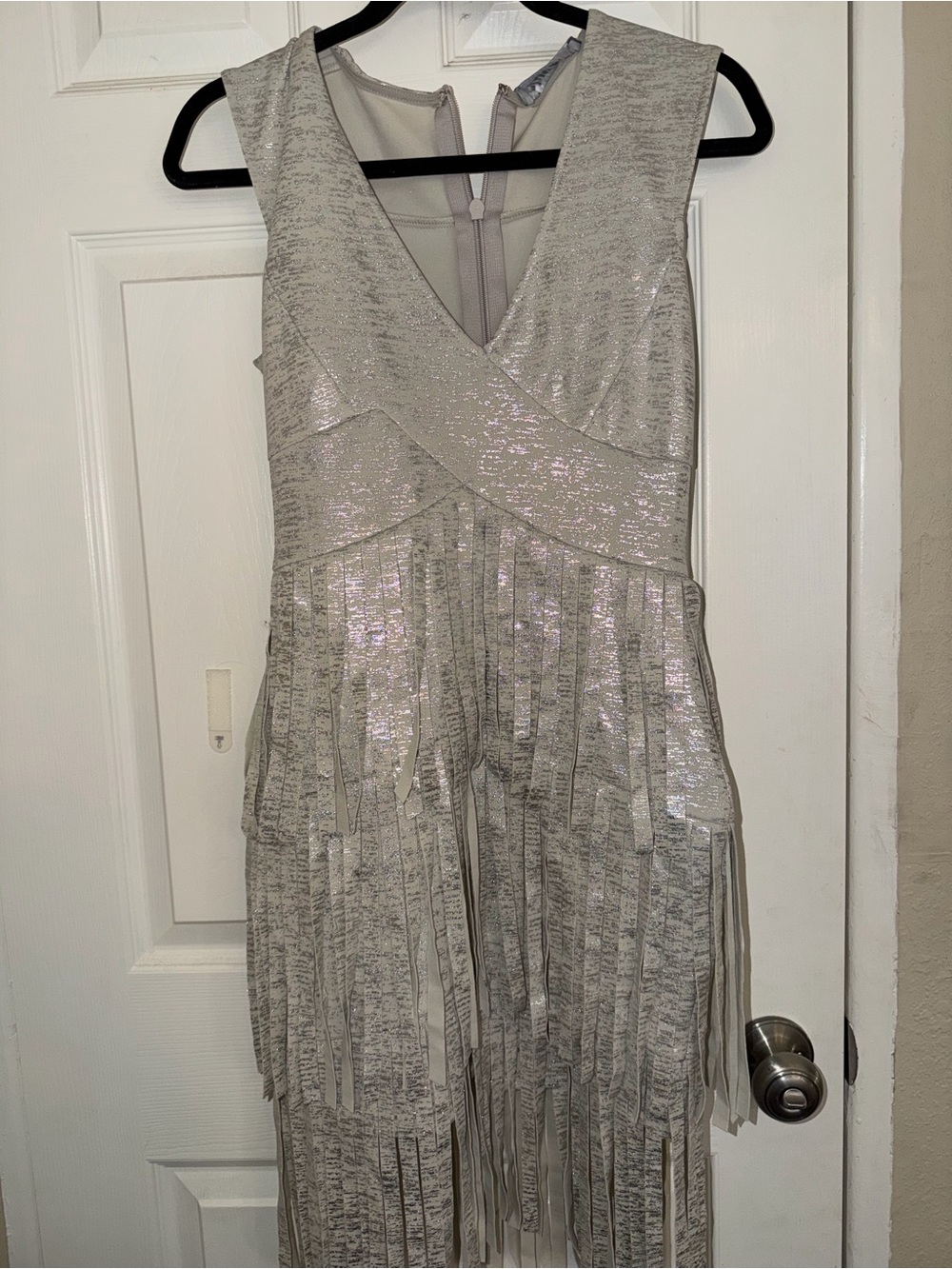 Metallic Silver Fringe Mini Dress with Collar